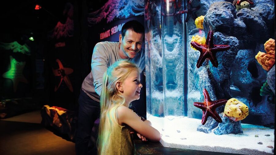 SEA LIFE London & DreamWorks Shrek's Adventure: Combo Ticket - Language is the big real-world consideration for Shrek