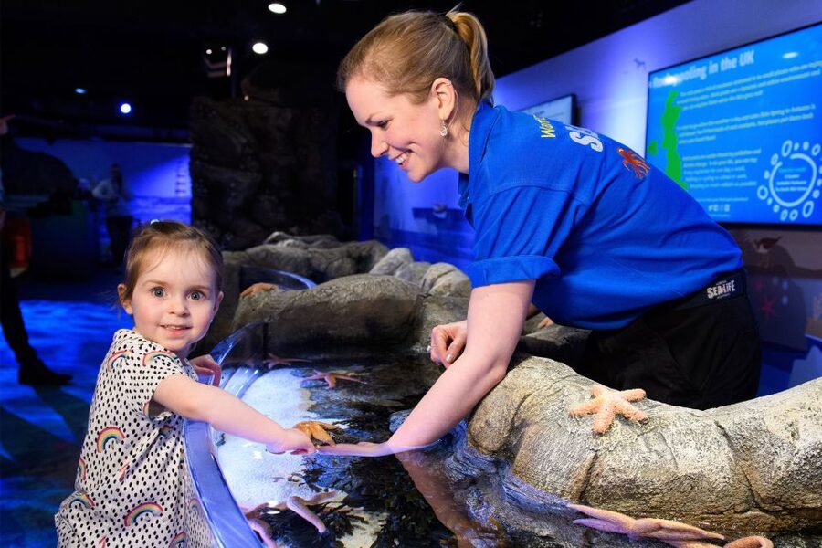 SEA LIFE London & DreamWorks Shrek's Adventure: Combo Ticket - How to plan your day when SEA LIFE is timed and Shrek is not