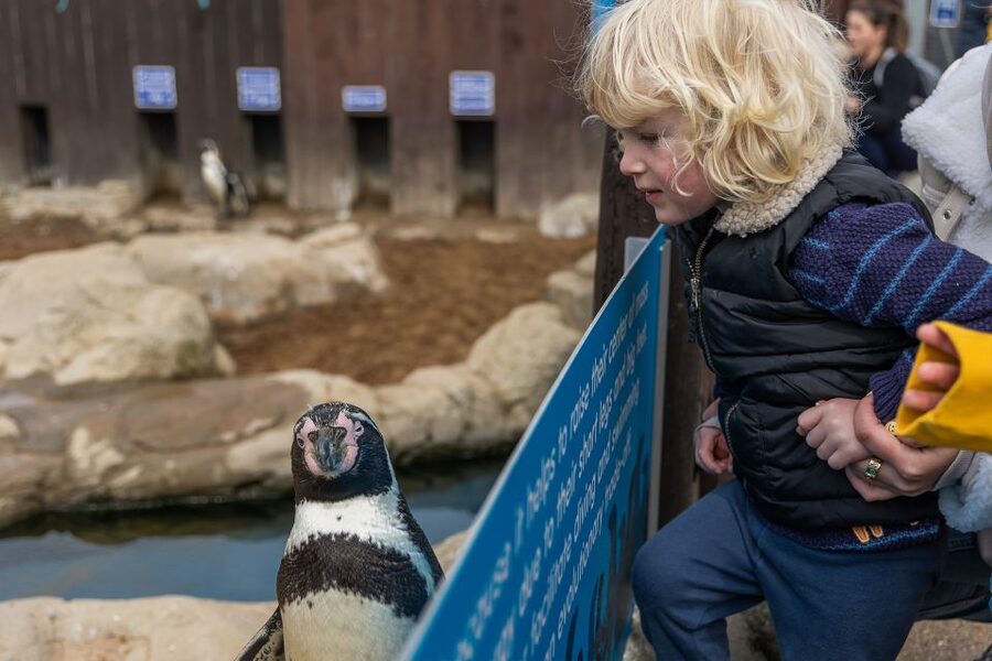 Sea Life Scarborough - Key things to know before you go