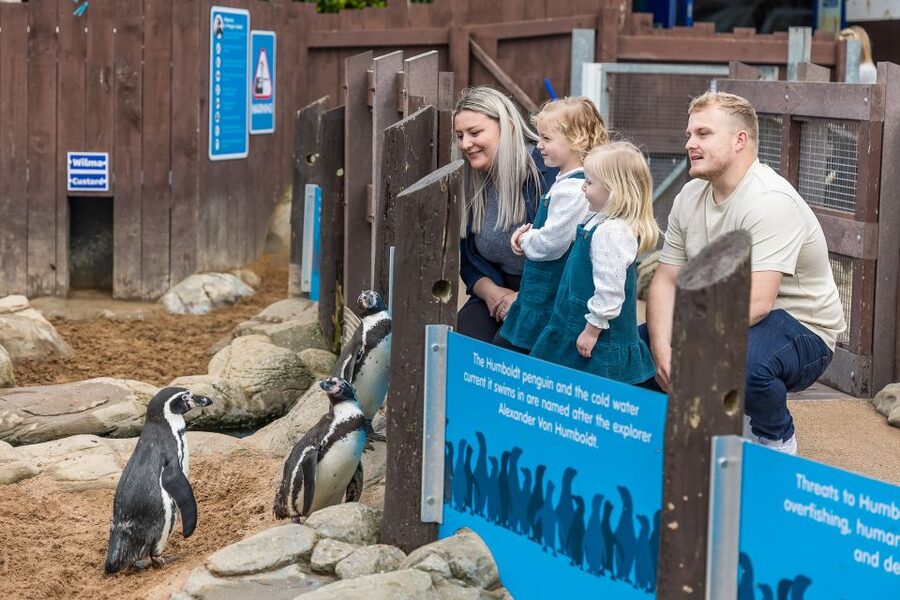 Sea Life Scarborough - Price and value: what $26 buys you in real time