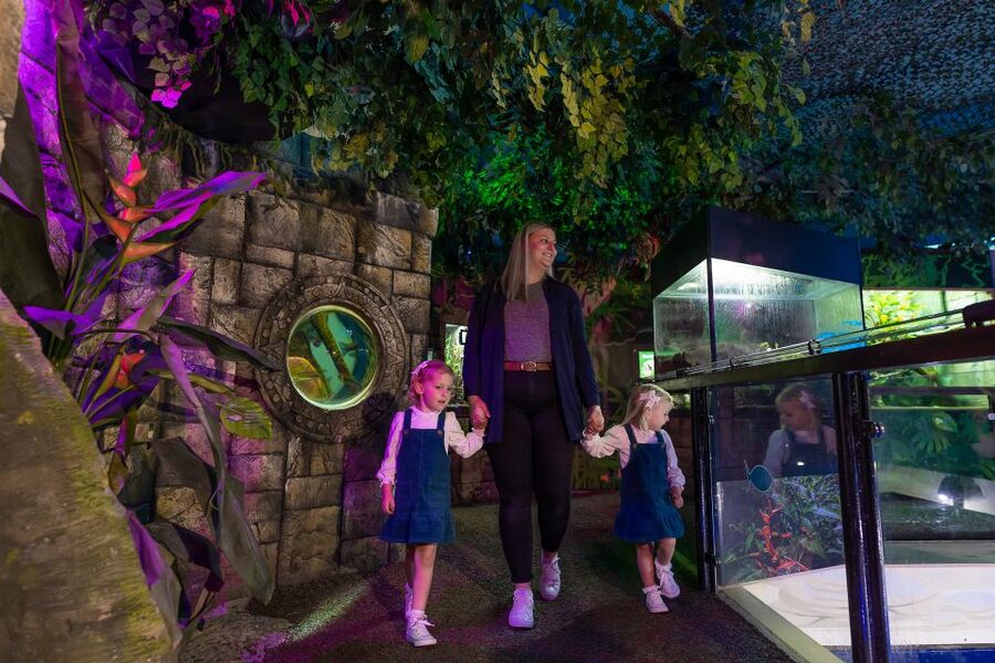 Sea Life Scarborough - Penguin Island and Seal Hospital: closer-than-you-think care stories