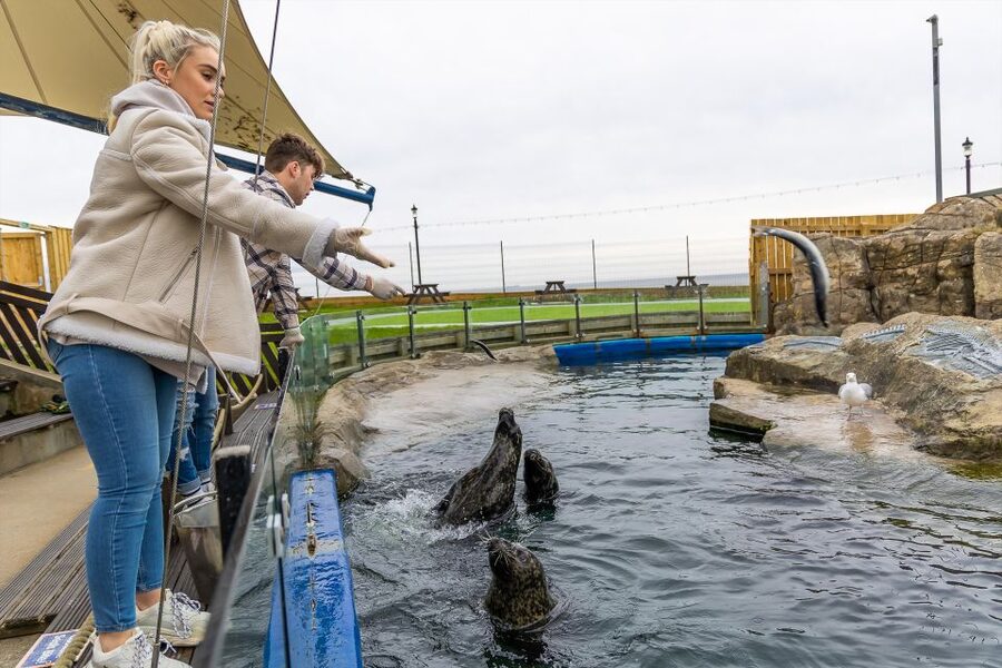 Sea Life Scarborough - The Adventure Quiz trail: a low-pressure way to keep kids moving