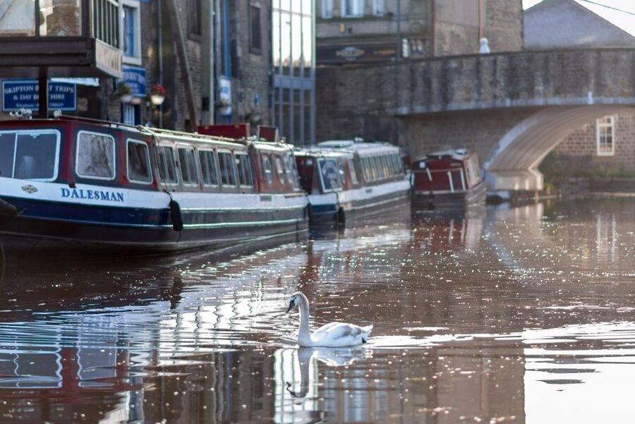 Skipton: 1-Hour Canal Cruise - What you’ll see during the cruise, and how to spot it fast