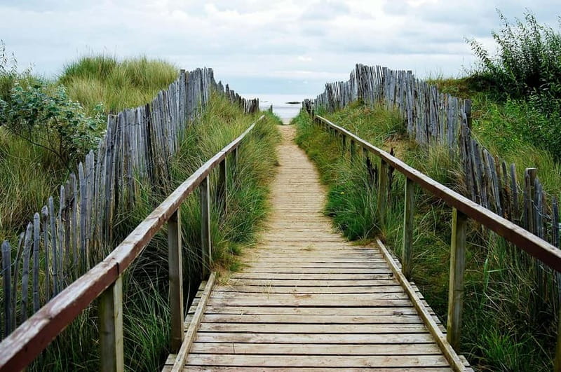 St. Andrews: The Essential Guided Bike & E Bike Tour - Old Course and West Sands Beach, golf meets the sea