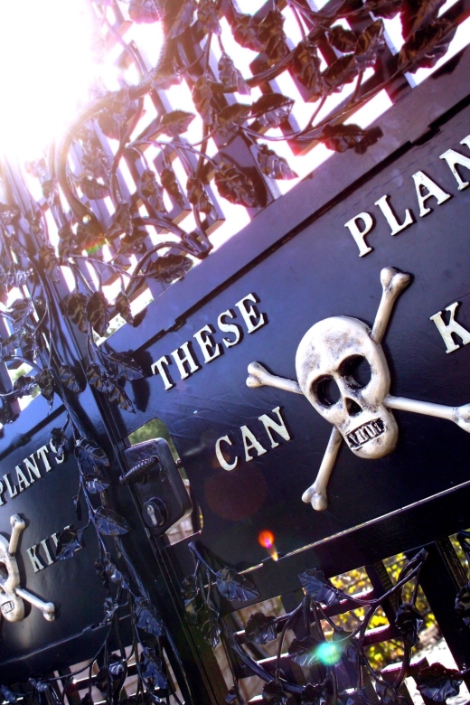 The Alnwick Garden: Entry Ticket - Food and rest: plan for queues, pick the right moment