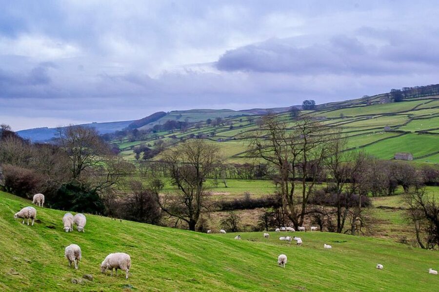The Yorkshire Dales Tour from York - Bolton Castle: the medieval anchor stop, plus the time trade-off
