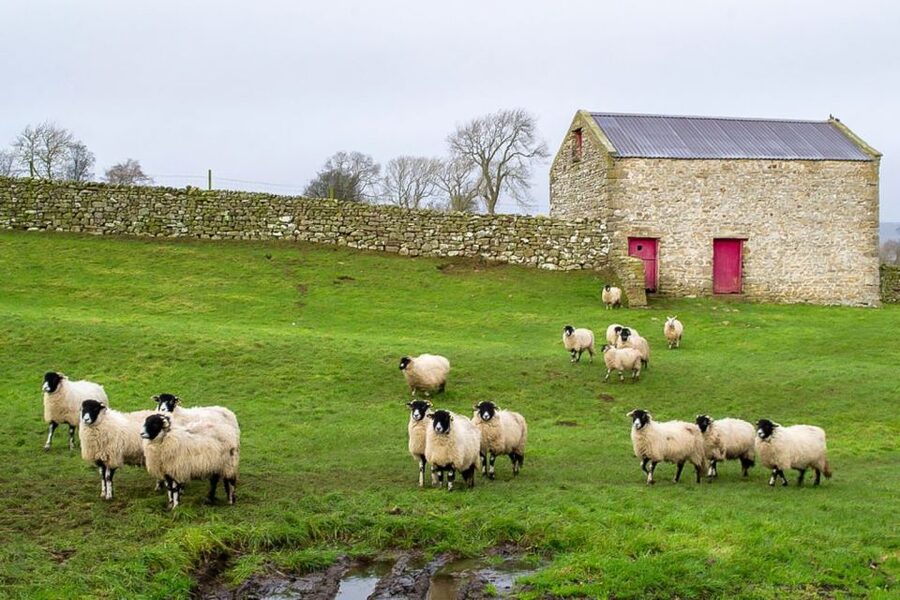 The Yorkshire Dales Tour from York - Driver-guides with stories: why the commentary matters on a timed tour