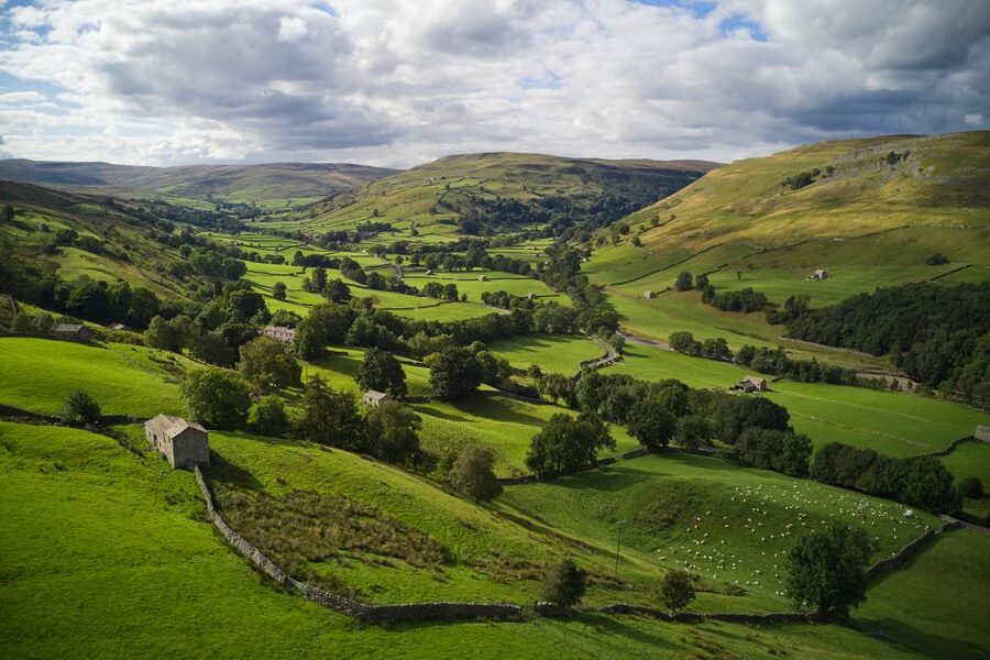 The Yorkshire Dales Tour from York - Aysgarth Falls: your best “stand still and look” hour