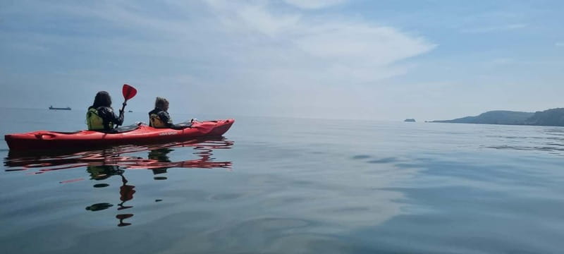 Torquay: Guided Wildlife, Bushcraft, Sea Cave Kayak Safari - Key Things That Make This Safari Worth Your Time