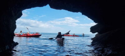 Torquay: Guided Wildlife, Bushcraft, Sea Cave Kayak Safari