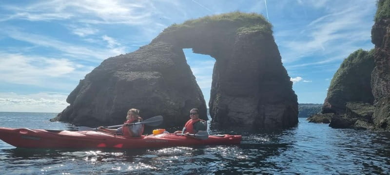 Torquay: Guided Wildlife, Bushcraft, Sea Cave Kayak Safari - Wildlife Spotting: Seals and Resident Cetaceans, Without Pressure