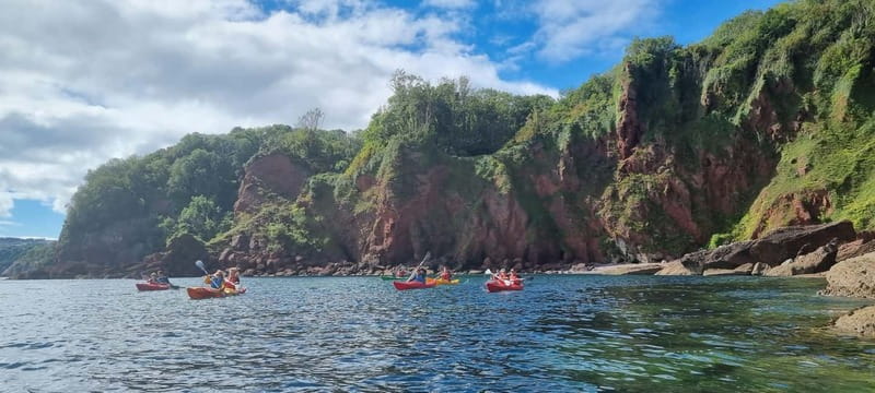 Torquay: Guided Wildlife, Bushcraft, Sea Cave Kayak Safari - Kayak Skills, Safety, and Coaching That Keeps It Calm