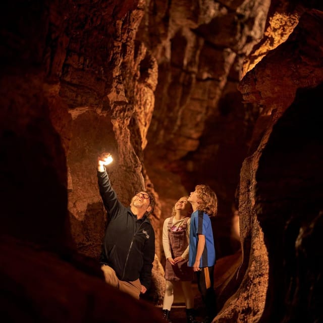 Torquay: Kents Cavern Prehistoric Cave - Price, value, and how to fit it into your day