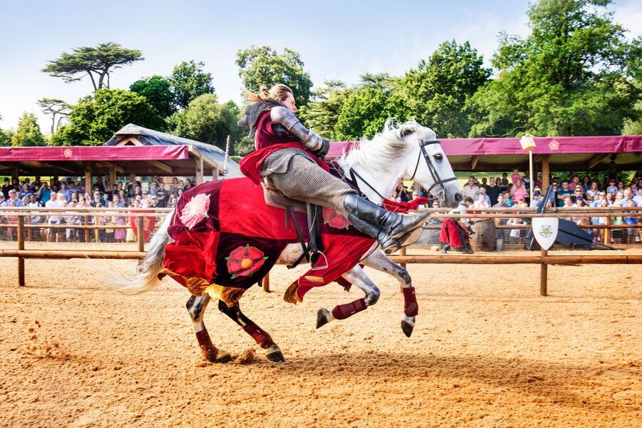 Warwick: Entry Ticket for Warwick Castle - Why Warwick Castle is a strong one-day ticket