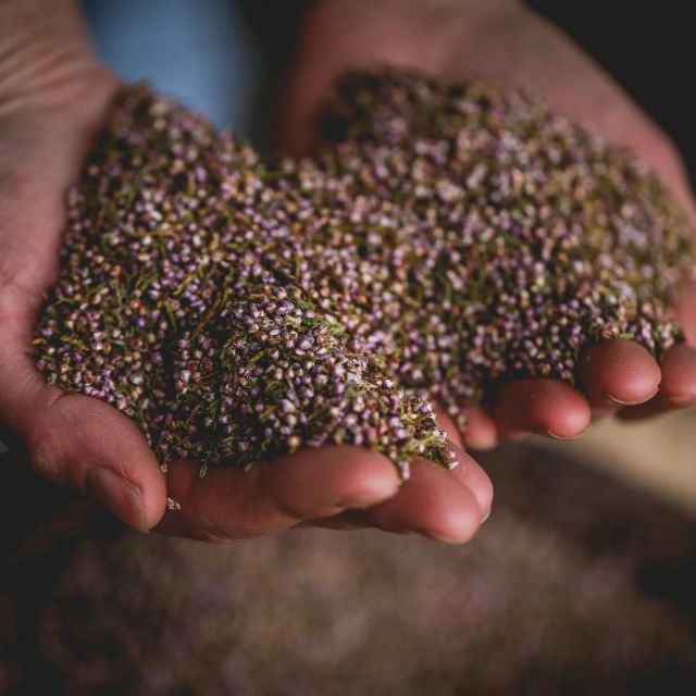 Whitby: Guided Distillery Tour with Gin Tasting - Should You Book This Whitby Gin Tasting Tour?