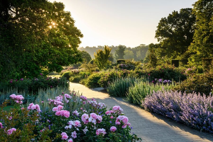 Woking: Royal Horticultural Society Wisley Garden Ticket - What You Actually Get for Your RHS Garden Wisley Ticket