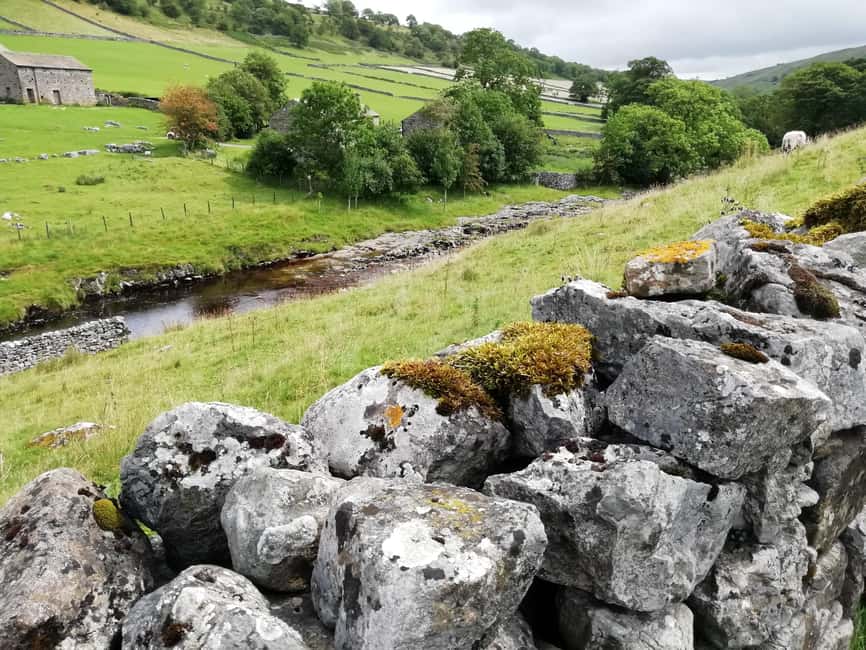 York: "All Creatures Great and Small" Yorkshire Dales Tour - Why All Creatures Great and Small fans get extra mileage out of this day