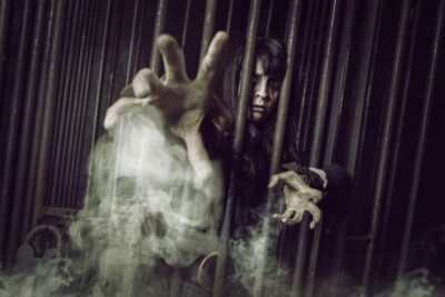 The York Dungeon Entry Ticket