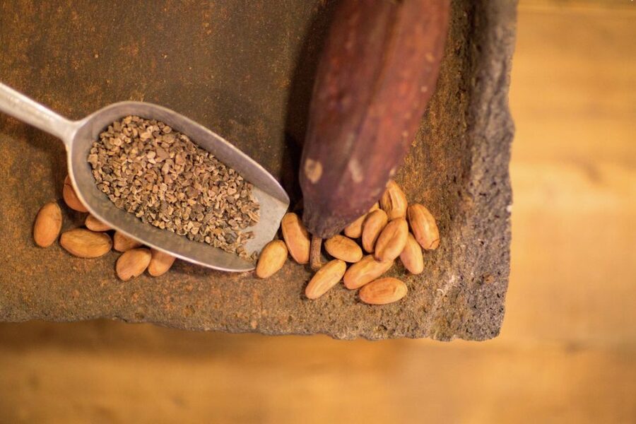 York: York Cocoa Works Guided Tour and Tasting - Who should book, and who might not love it
